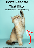 Don't Rehome That Kitty - How to overcome new cat anxiety
