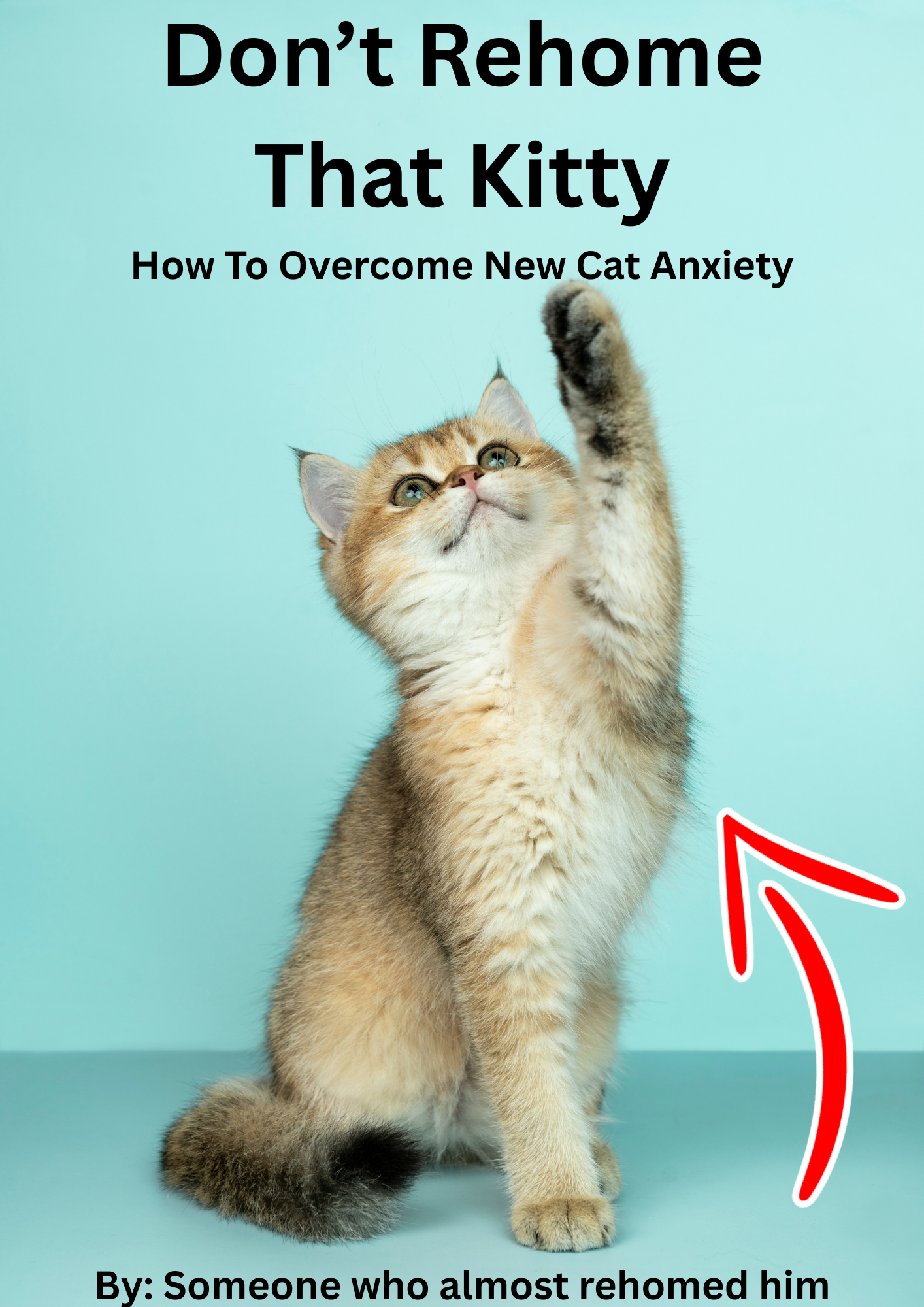 Don't Rehome That Kitty - How to overcome new cat anxiety